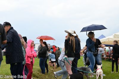 20250727_imp_231_DSC_5666.jpg