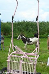 20250727_imp_033_DSC_5356.jpg