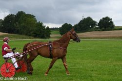 20250727_imp_035_DSC_5358.jpg