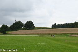 20250727_imp_036_DSC_5359.jpg