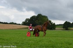 20250727_imp_042_DSC_5366.jpg