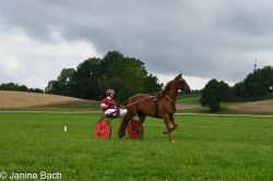 20250727_imp_043_DSC_5367.jpg