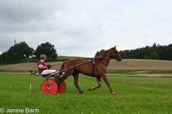 20250727_imp_046_DSC_5372.jpg