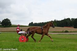 20250727_imp_047_DSC_5373.jpg