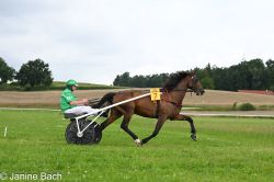 20250727_imp_054_DSC_5381.jpg