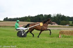 20250727_imp_055_DSC_5382.jpg