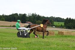 20250727_imp_056_DSC_5383.jpg