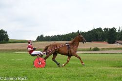 20250727_imp_058_DSC_5386.jpg