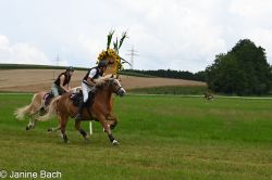 20250727_imp_091_DSC_5429.jpg