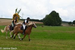 20250727_imp_092_DSC_5430.jpg