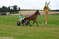 20250727_imp_103_DSC_5443.jpg