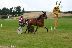 20250727_imp_106_DSC_5446.jpg