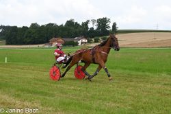 20250727_imp_114_DSC_5460.jpg
