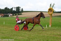 20250727_imp_115_DSC_5461.jpg