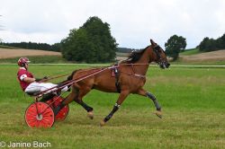 20250727_imp_117_DSC_5463.jpg