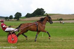 20250727_imp_118_DSC_5464.jpg