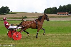 20250727_imp_119_DSC_5465.jpg