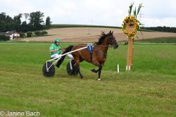 20250727_imp_120_DSC_5466.jpg