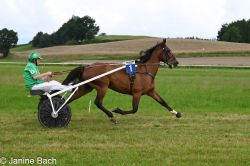 20250727_imp_123_DSC_5470.jpg