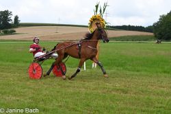 20250727_imp_124_DSC_5471.jpg