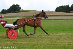 20250727_imp_126_DSC_5475.jpg