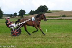 20250727_imp_128_DSC_5479.jpg