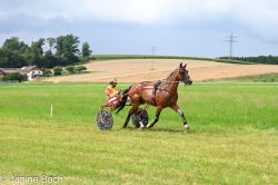 20250727_imp_132_DSC_5483.jpg