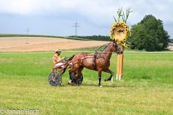 20250727_imp_134_DSC_5485.jpg