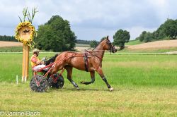 20250727_imp_136_DSC_5487.jpg