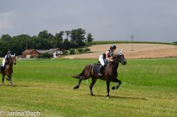 20250727_imp_164_DSC_5516.jpg