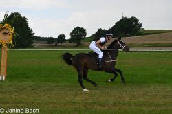 20250727_imp_182_DSC_5534.jpg