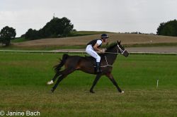 20250727_imp_183_DSC_5535.jpg