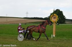 20250727_imp_184_DSC_5536.jpg