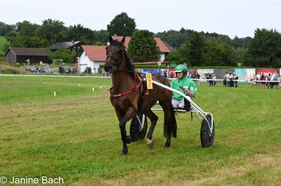 20250727_r03_023_DSC_5769.jpg