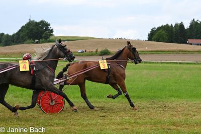 20250727_r03_041_DSC_5790.jpg