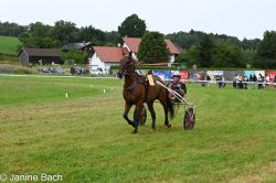 20250727_r03_017_DSC_5762.jpg