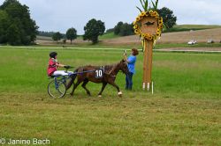20250727_r04_059_DSC_5895.jpg