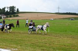 20250727_r04_063_DSC_5899.jpg
