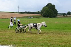 20250727_r04_076_DSC_5912.jpg