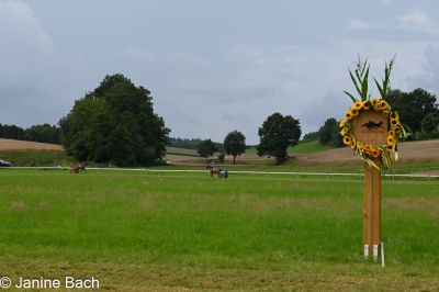 20250727_r05_007_DSC_5985.jpg
