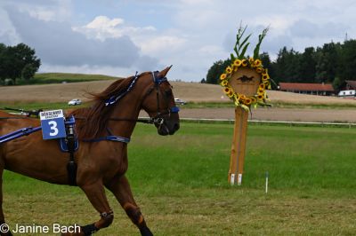 20250727_r05_010_DSC_5988.jpg