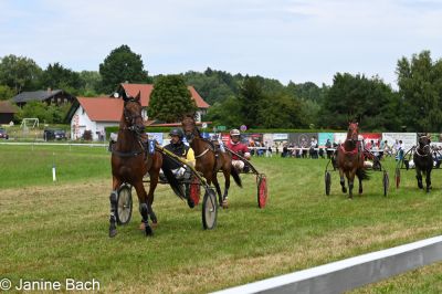 20250727_r05_036_DSC_6014.jpg