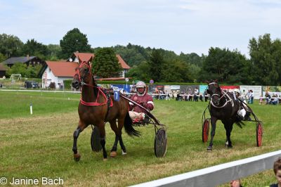 20250727_r05_042_DSC_6020.jpg