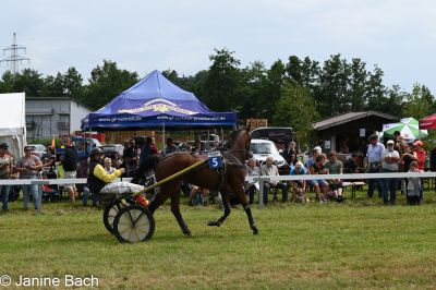 20250727_r05_072_DSC_6050.jpg