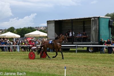 20250727_r05_074_DSC_6052.jpg