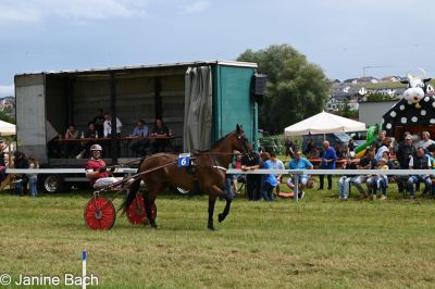 20250727_r05_077_DSC_6055.jpg