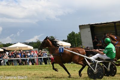 20250727_r05_103_DSC_6083.jpg