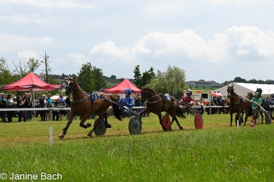 20250727_r05_104_DSC_6084.jpg