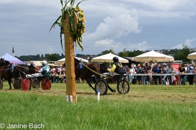 20250727_r05_116_DSC_6097.jpg