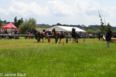 20250727_r05_117_DSC_6098.jpg